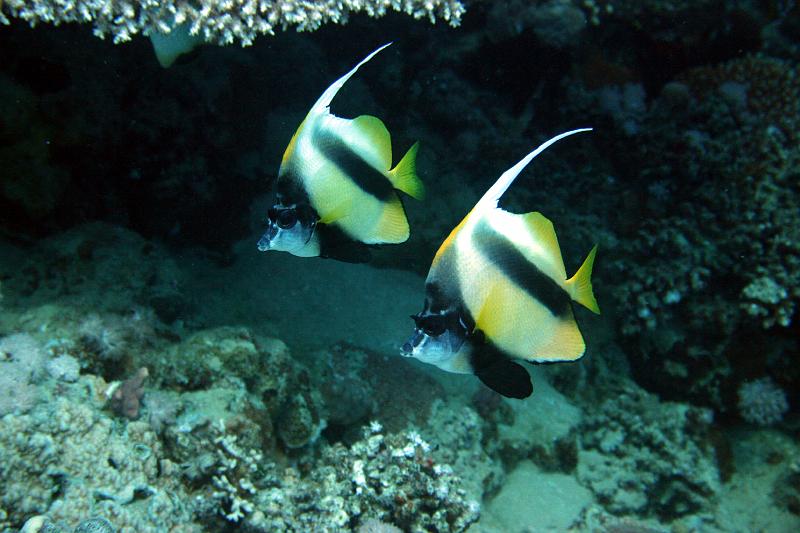07 EG-02 166.JPG